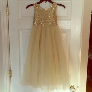 Flower girl/holiday dress